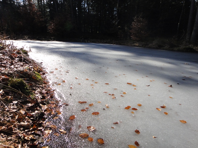 Chavannes.nl_march10_ice_light.jpg