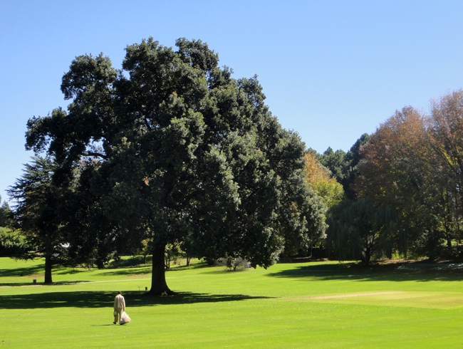 Chavannes.nl_may10_countryclub_joburg.jpg