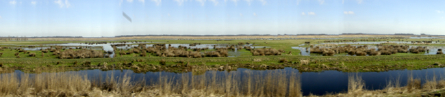 Chavannes.nl_pan_march10_train2.jpg