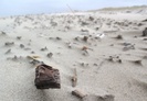 DD_terschelling08.jpg