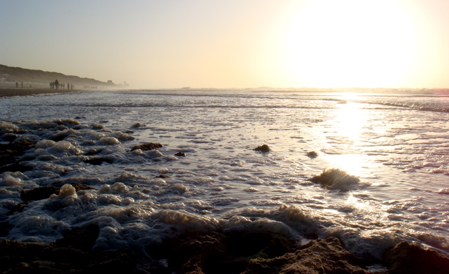 beach_bloemendaal_jan10.jpg