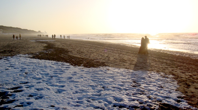 beach_bloemendaal_sun_jan10.jpg