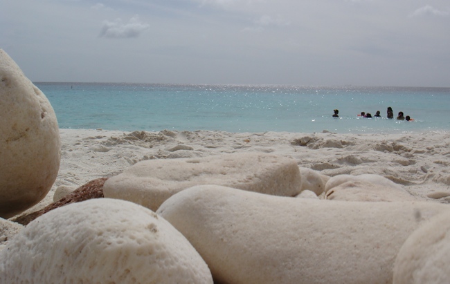 bonaire_beach_slagbaai.jpg