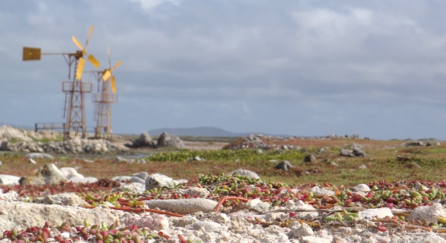 bonaire_windmills.jpg