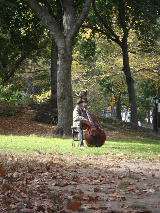 central_park_bass.jpg