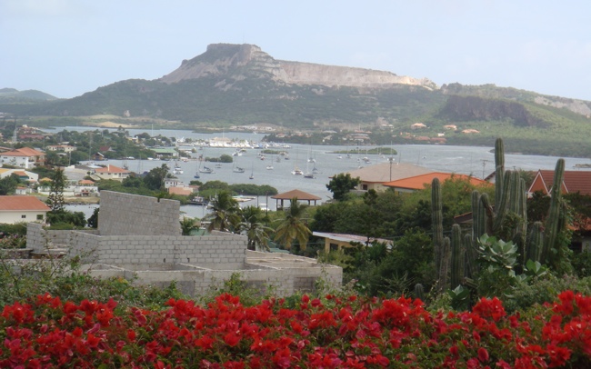 curacao_bouganville.jpg