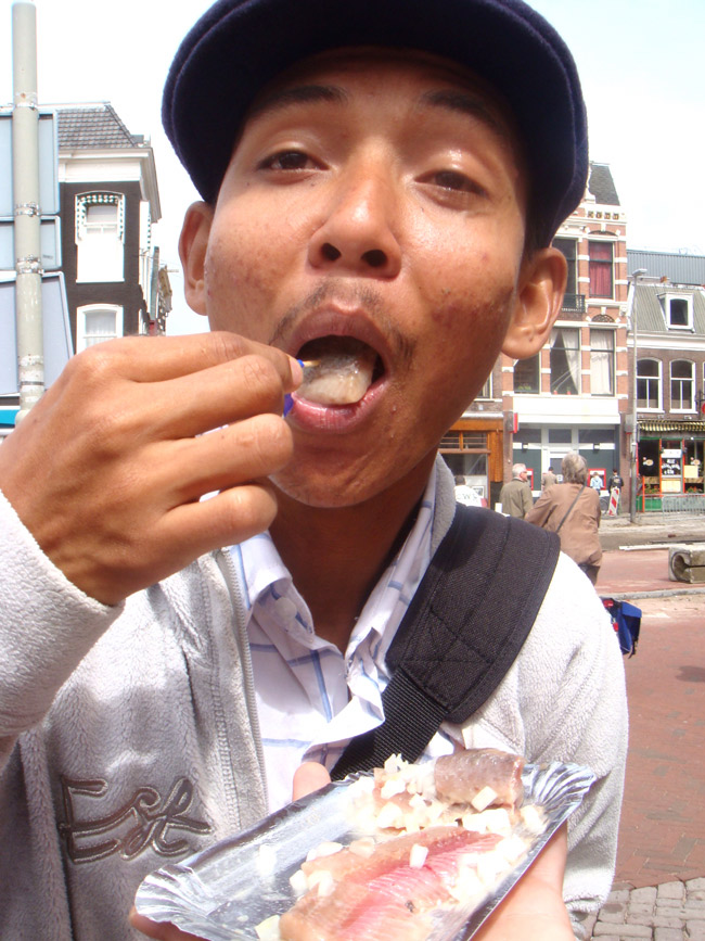 ficky-haring.jpg