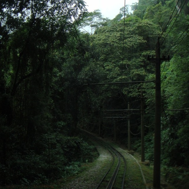 jungle_train.jpg
