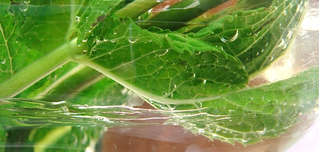 minttea.jpg