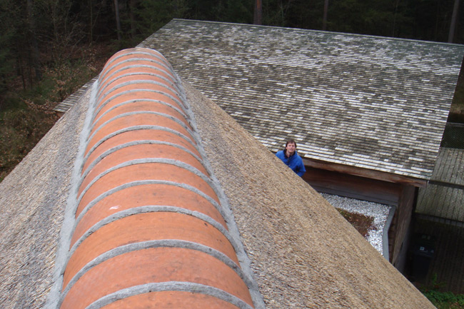 roof2-16-4-08.jpg