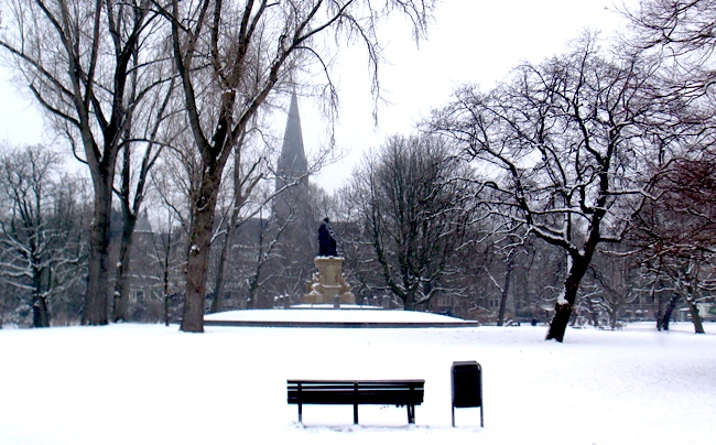 snow_bench_jan10.jpg