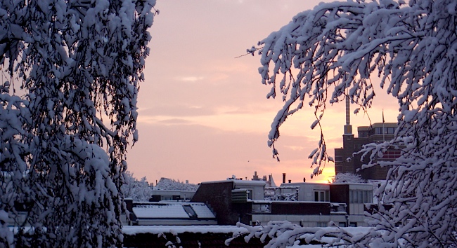 snow_morning_haarlem_jan10.jpg