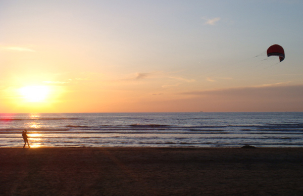 cartoon sunset on beach. Bloemendaal each